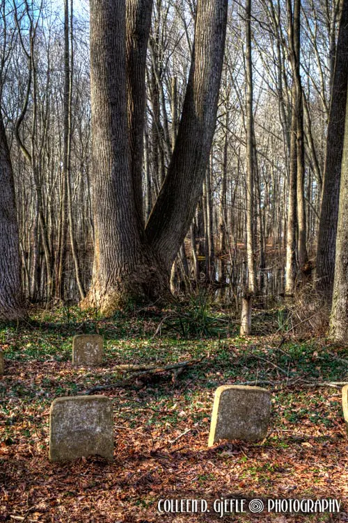Ebenezer cemetery with trees